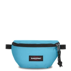 SPRINGER