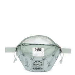 SPRINGER